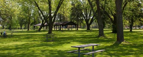 North Gwillimbury Park