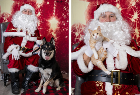 side by side left - Santa with a dog right Santa with a cat