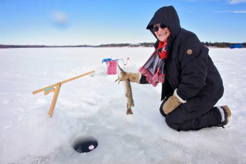 Ice fishing Woman smiling and holding a just-caught fish over fishing hole in Lake Simcoe