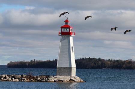 Lighthouse Lighthouse on water with red top and birds flying